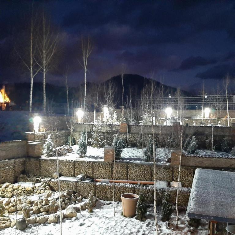 Casa cu mesteceni Rîşnov Exterior foto