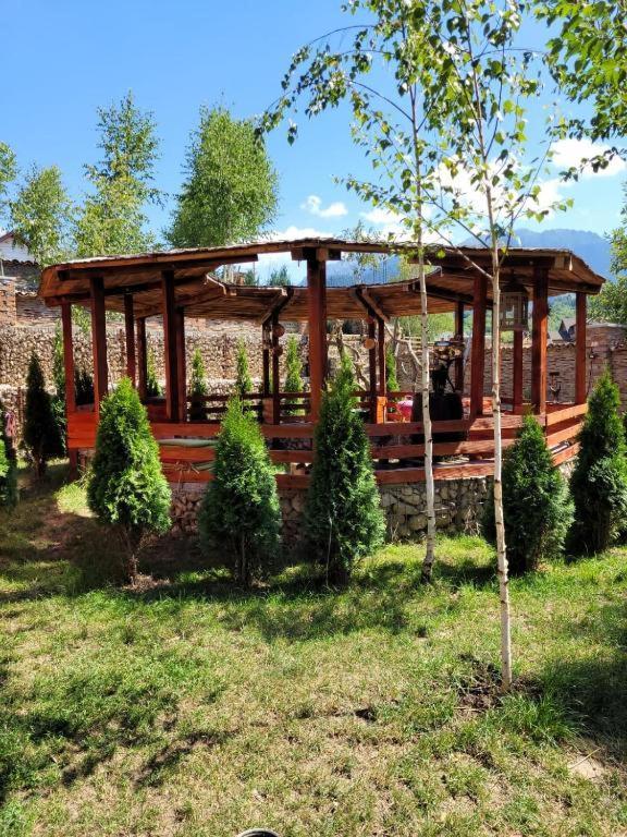Casa cu mesteceni Rîşnov Exterior foto