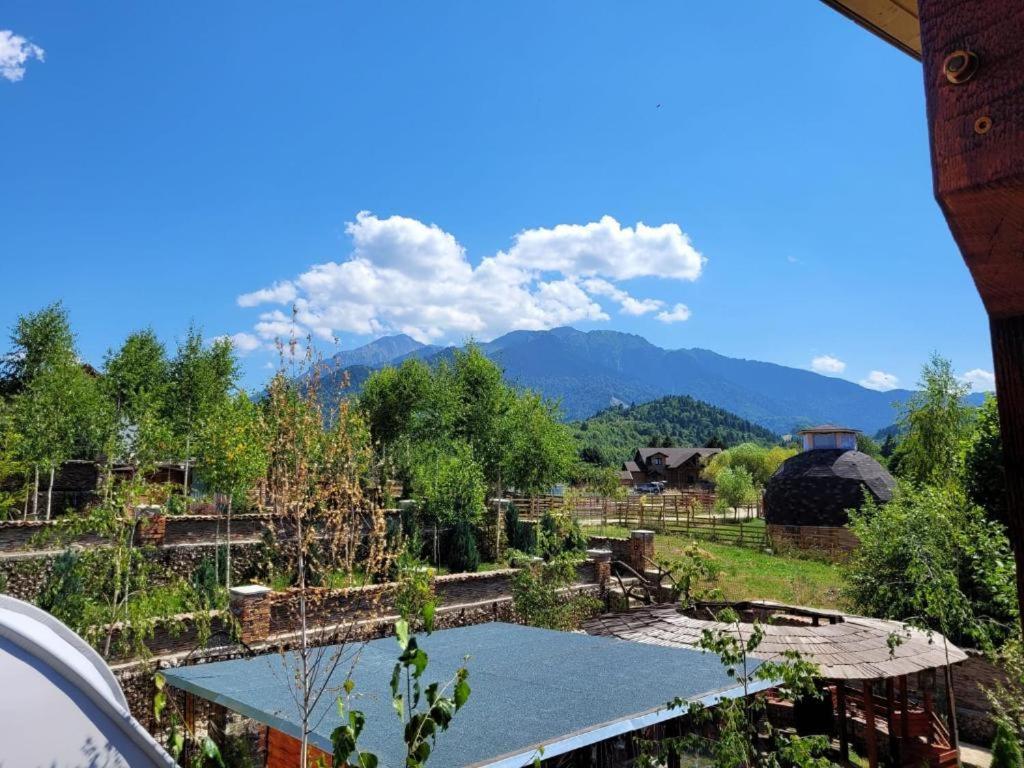 Casa cu mesteceni Rîşnov Exterior foto