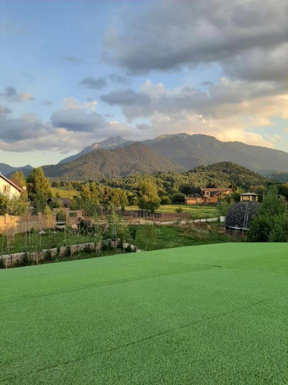Casa cu mesteceni Rîşnov Exterior foto