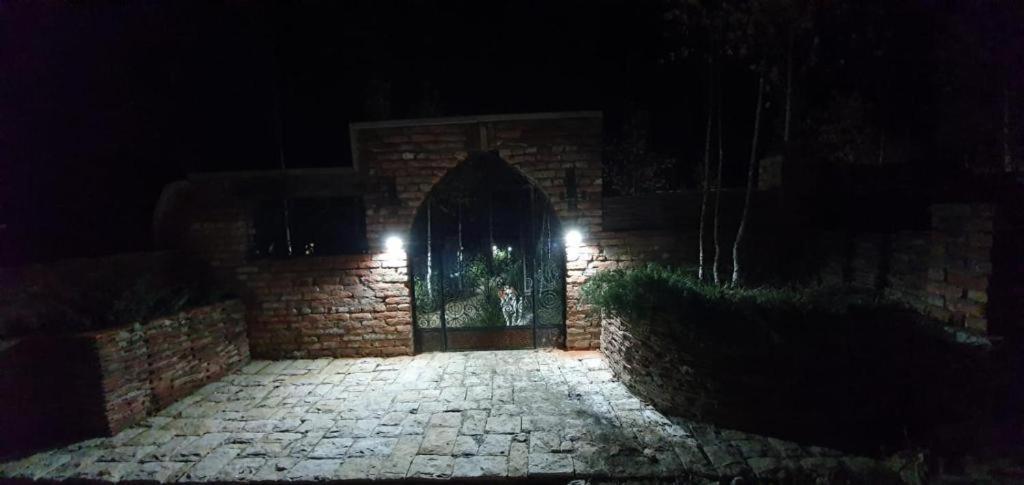 Casa cu mesteceni Rîşnov Exterior foto